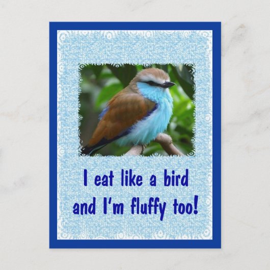 Essen Sie wie ein Vogel 2 Postkarte (Vorderseite)