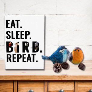 Essen Sleep Bird Wiederholung Bird Watching Fotoblock