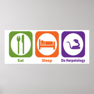 Essen Sleep Do Herpetologie Poster