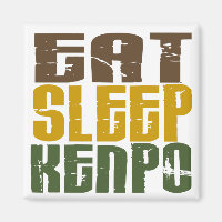 Essen Sleep Kenpo 1