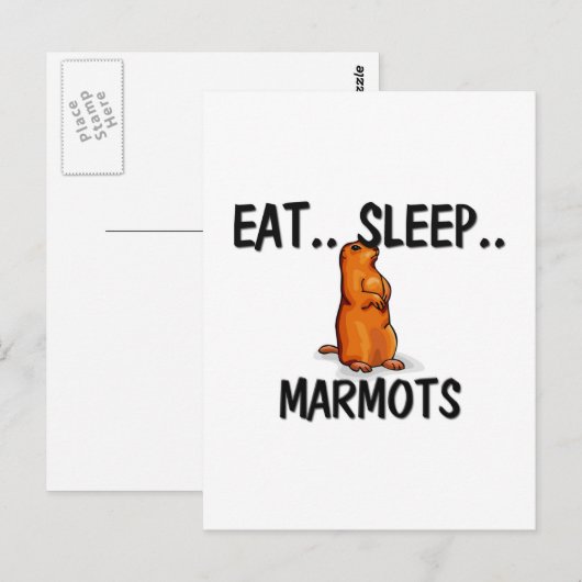 Essen Sleep MARMOTS Postkarte (Vorne/Hinten)