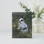 Essen von Grüntönen Postkarte (Stehend Vorderseite)