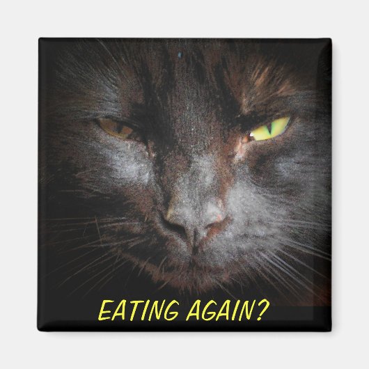 Essen wieder? Diet Cat Meme Kühlschrank Magnet (Vorne)