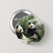 Essender und spielender Pandabär Button (Vorne & Hinten)
