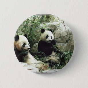 Essender und spielender Pandabär Button