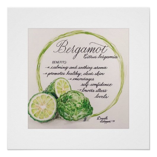 Essential Oil Watercolor Print - Bergamot Poster (Vorderseite)