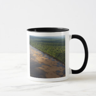 Essequibo-Fluss, längster Fluss in Guyana und 3 Tasse