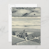Estella Blanca Vineyard, Kalifornien Postkarte (Vorne/Hinten)