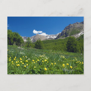 Estenc Valley im Frühjahr Französische Riviera Postkarte