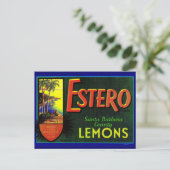 Estero-Zitronen-Früchteetikett der 40er Jahre Postkarte (Stehend Vorderseite)