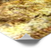 Estes Park, Colorado von Albert Bierstadt, Poster (Ecke)