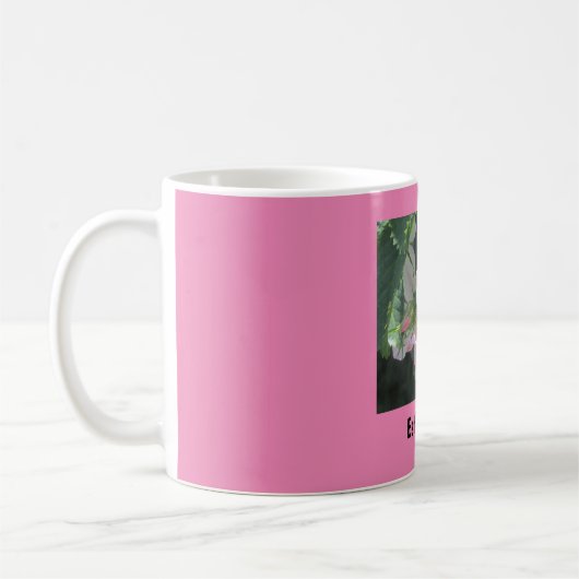 Esther Tasse (Links)