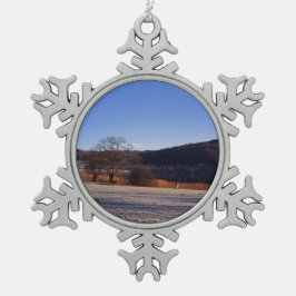 Esthwiwater Winter Holiday Card Poster Foto B Schneeflocken Zinn-Ornament