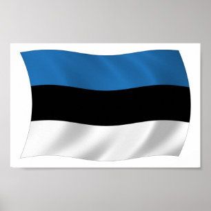 Estland Flagge Poster Druck