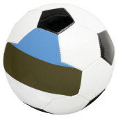 Estland Fußball (Dreiviertel)