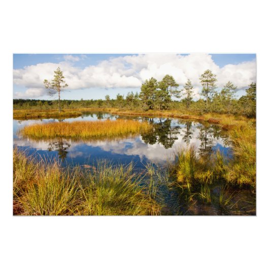 Estland Nature Viru Bog Fotodruck (Vorne)