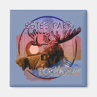 Estland Park Colorado rustikaler Elchmagnet Magnet