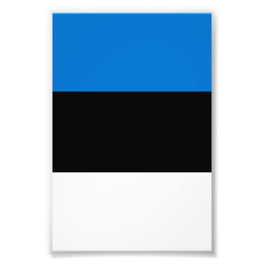 Estnische Flagge Fotodruck (Vorne)
