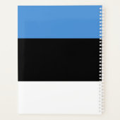 Estnische Flagge Planer (Rückseite)