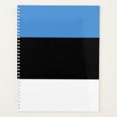 Estnische Flagge Planer (Vorderseite)