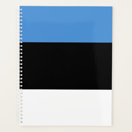 Estnische Flagge Planer (Vorderseite)