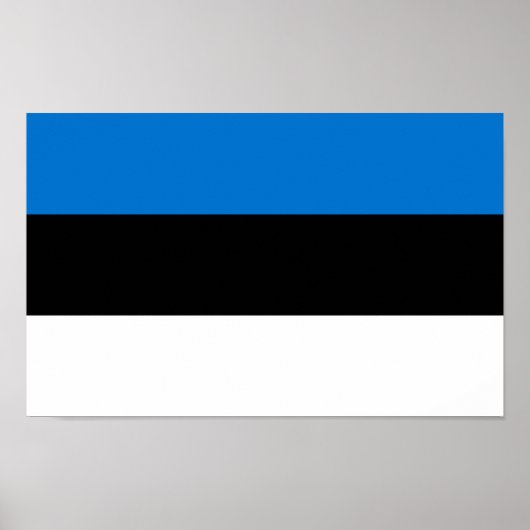 Estnische Flagge Poster (Vorne)