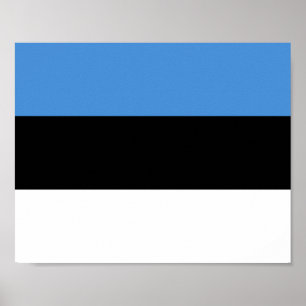 Estnische Flagge Poster