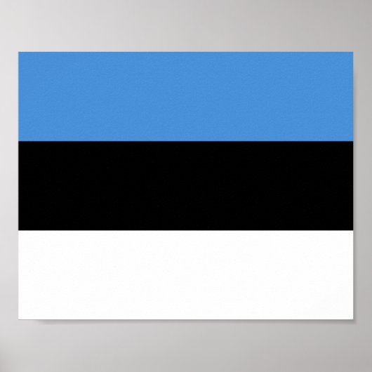 Estnische Flagge Poster (Vorne)
