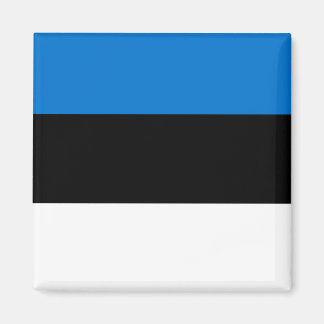 Estnische Nationalflagge Magnet