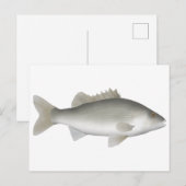Estuary Perch Postkarte (Vorne/Hinten)