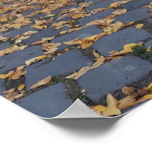 Esztergom Hungary Poster (Ecke)