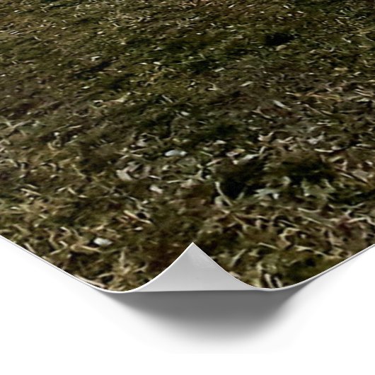 Esztergom Night Sky. Poster (Ecke)