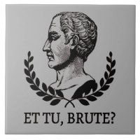 Et Tu, Brute? Shakespeares Julius Cäsar Zitat V