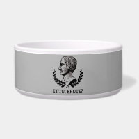 Et Tu, Brute? Shakespeares Julius Cäsar Zitat V