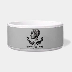 Et Tu, Brute? Shakespeares Julius Cäsar Zitat V Napf