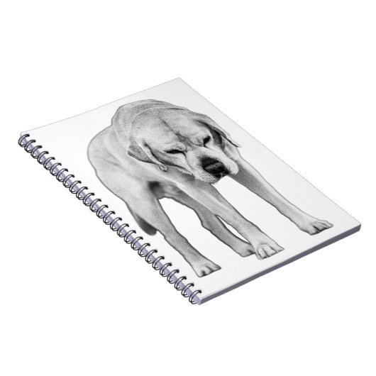 Etched Resolve Notizblock (Rechte Seite)