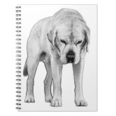 Etched Resolve Notizblock (Vorderseite)