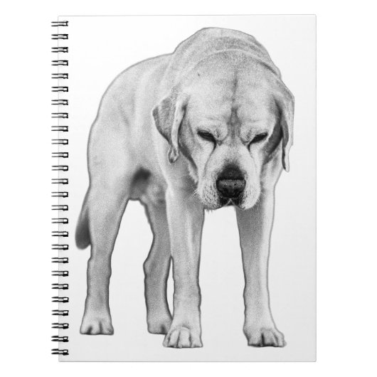 Etched Resolve Notizblock (Vorderseite)