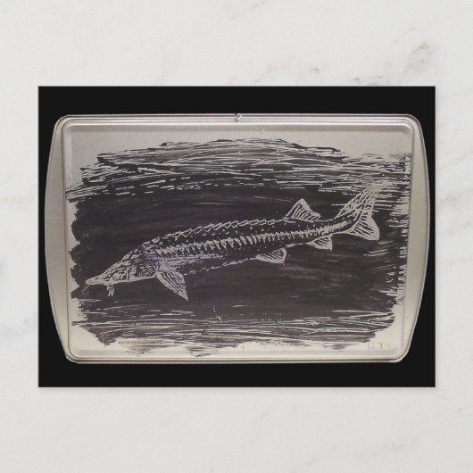 Etching - Sterlet Sturgeon Postkarte (Vorderseite)