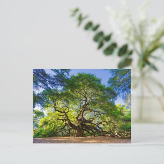 Ethereal Angel Oak Tree Postkarte (Stehend Vorderseite)