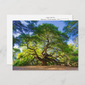 Ethereal Angel Oak Tree Postkarte (Vorne/Hinten)