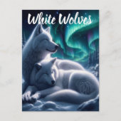 Ethereal Bond weiße Wölfe ruhen Postkarte (Vorderseite)
