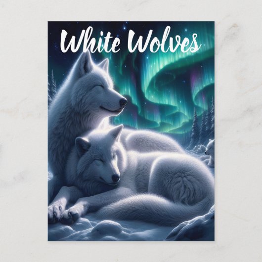 Ethereal Bond weiße Wölfe ruhen Postkarte (Vorderseite)