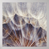 Ethereal Dandalion Macro Abstrakt Poster (Vorne)
