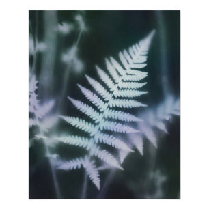 Ethereal Fern - Mystischer Farn im Blurry Look Poster