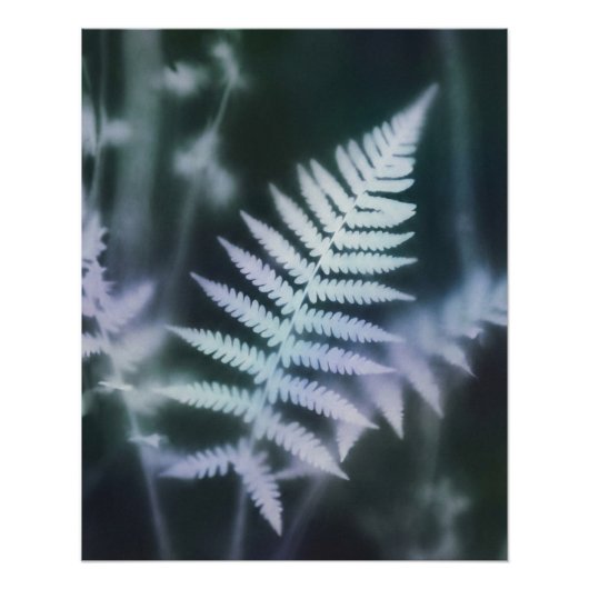 Ethereal Fern - Mystischer Farn im Blurry Look Poster (Vorderseite)