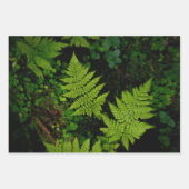 Ethereal Forest Flora, set of 3 art photos Geschenkpapier Set (Vorderseite 3)
