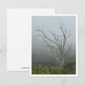 Ethereal Harmony Mitteilungskarte (Vorne/Hinten)