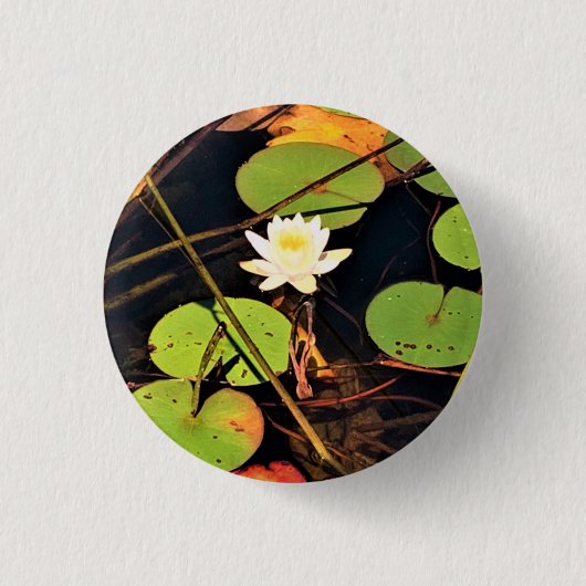 "Ethereal Lily Pad Pond mit Central White Blossom Button (Vorderseite)