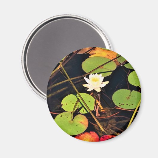 "Ethereal Lily Pad Pond mit Central White Blossom Magnet (Vorderseite/Rückseite)